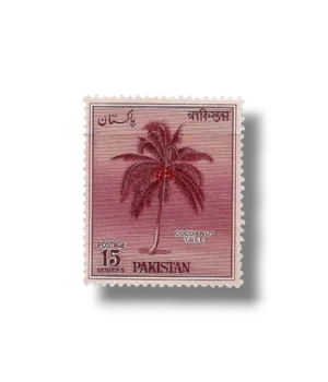 2nd Anniversary of Republic day Coconut Tree