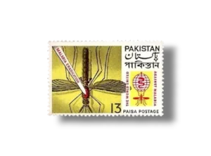 Malaria Eradication Mosquito Pierced with Blades