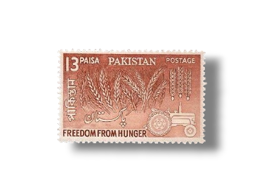 Freedom from Hunger