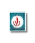 International Year of Human Rights