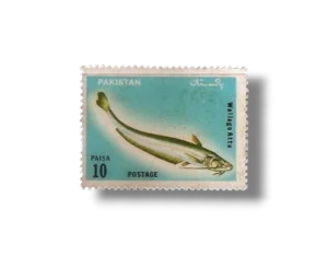 Wildlife series Fishes