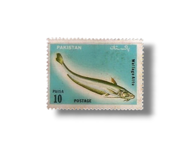Wildlife series Fishes