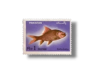 Wildlife series Fishes Major Indian Carp