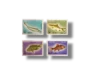 Wildlife series Fishes
