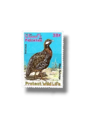 Wild Life series 1 Black Francolin