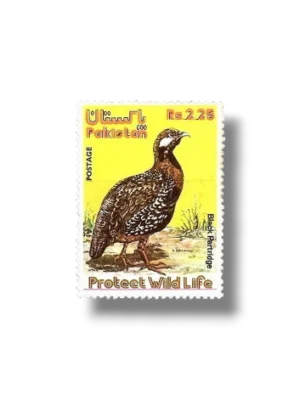 Wild Life series 1 Black Francolin