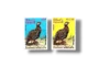 Wild Life series 1 Black Francolin