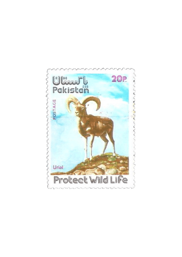 Wild Life Series Urial