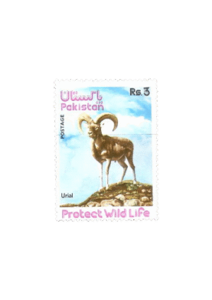 Wild Life Series (2) Urial