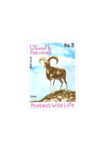 Wild Life Series (2) Urial