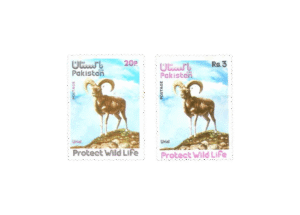Wild Life Series (2) Urial