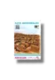 Save Moenjodaro