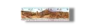 Save Moenjodaro