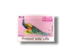 Wild Life Series Indian Peafowl