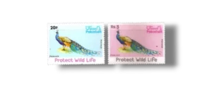 Wild Life Series Indian Peafowl