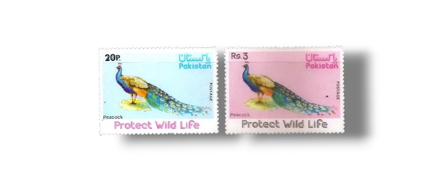 Wild Life Series Indian Peafowl