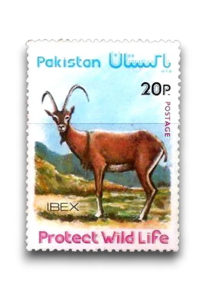 4rth Wild Life Series Ibex