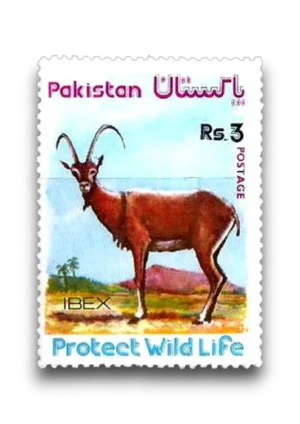 4rth Wild Life Series ibex