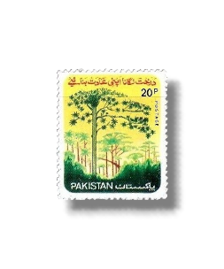 National Tree Plantation