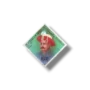 Pioneers Of Freedom Tippu Sultan Shaheed