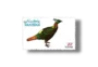 Wild Life Series Himalayan Monal Pheasant