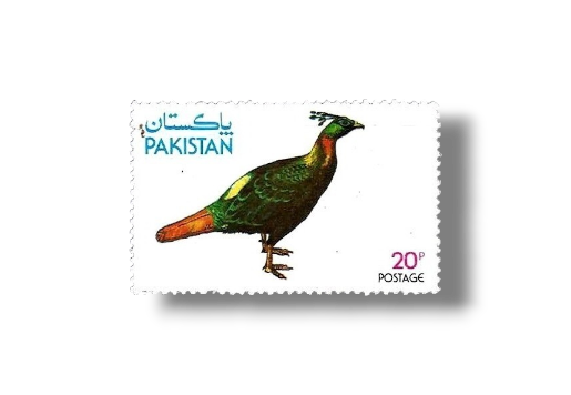Wild Life Series Himalayan Monal Pheasant