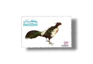 Wild Life Series Kalij Pheasant