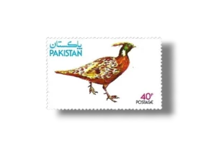 Wild Life Series Koklass Pheasant