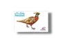 Wild Life Series Koklass Pheasant