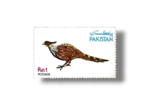 Wild Life Series Cheer Pheasant