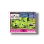 International Stamp Exhibition 80 Riccione
