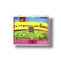 International Stamp Exhibition 80 Riccione