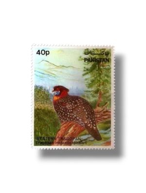 Wild Life Series Western Tragopan