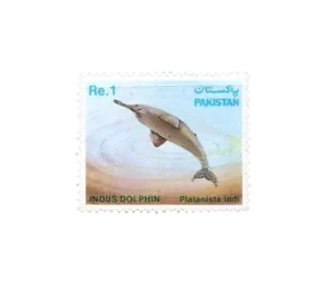 Wild Life Series Indus Dolphin