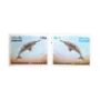 Wild Life Series Indus Dolphin
