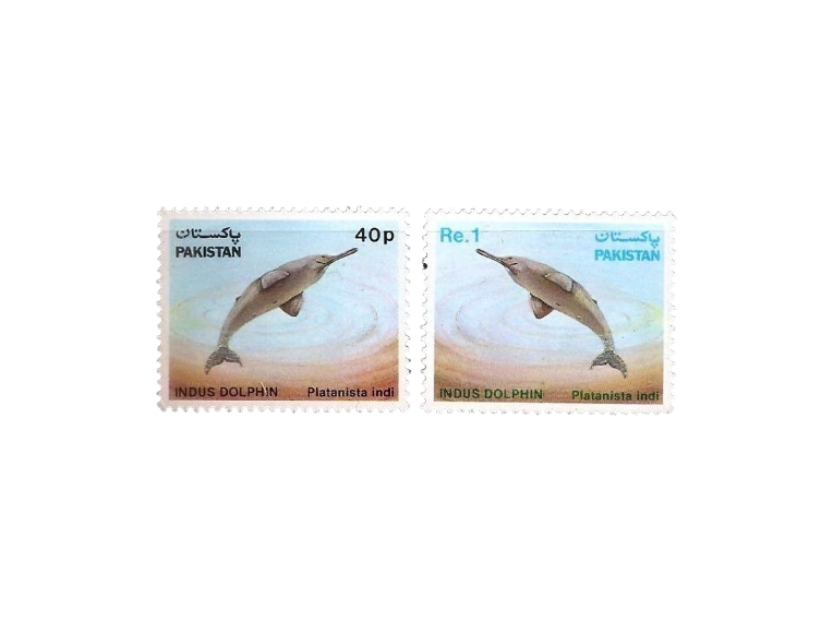 Wild Life Series Indus Dolphin