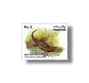 Wild life series Marsh Crocodile Crocodylus palustris