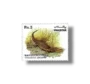 Wild life series Marsh Crocodile Crocodylus palustris