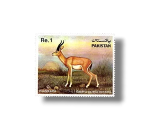 Wild Life Series Chinkara Gazella bennettii