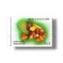 World Food Day fruits