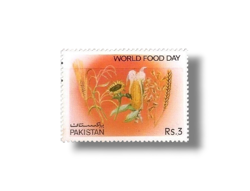World Food Day Grain