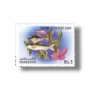 World Food Day sea animal