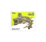 Wild Life Series Snow Leopard (Panthera uncia)