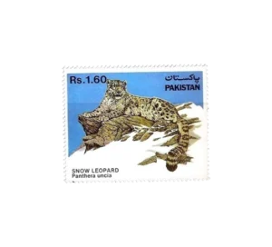 Wild Life Series Snow Leopard (Panthera uncia)