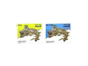 Wild Life Series Snow Leopard (Panthera uncia)