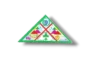 10th National Boy Scout Jamboree & International Youth Year Scout