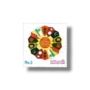 South Asian Association for Regional Co-operation SAARC 1985