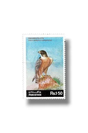 Wild Life Series Shaheen Falcon