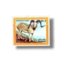 Marco Polo Sheep Ovis ammon polii