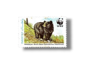 Wildlife protection Asiatic Black Bear